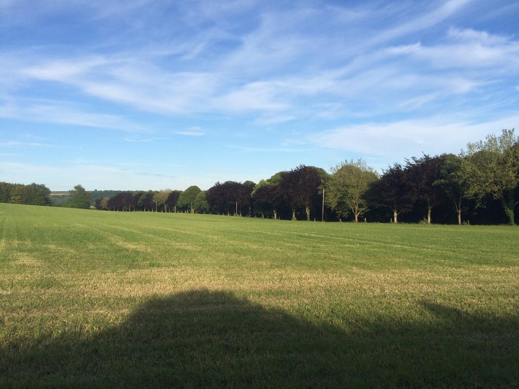 Higher Melcombe Manor Ansty  Buitenkant foto