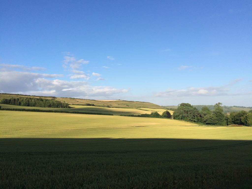 Higher Melcombe Manor Ansty  Buitenkant foto